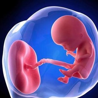 黄冈团风县试管婴儿哪家好，黄冈市团风县医院