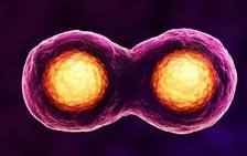 不同州试管婴儿的价格差异，美国各地费用一览表