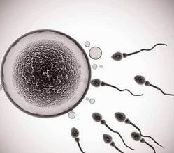 柬埔寨三代试管顶尖之选，成功率高达80%，这家医院值得推荐