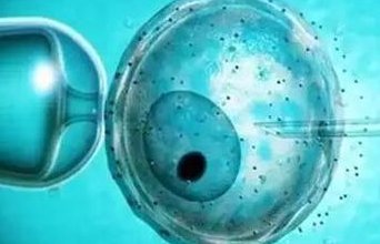 做试管婴儿要多少钱？了解一下全程明细