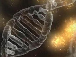 辽宁省大连市10大助孕机构分别是哪十家？附联系方式